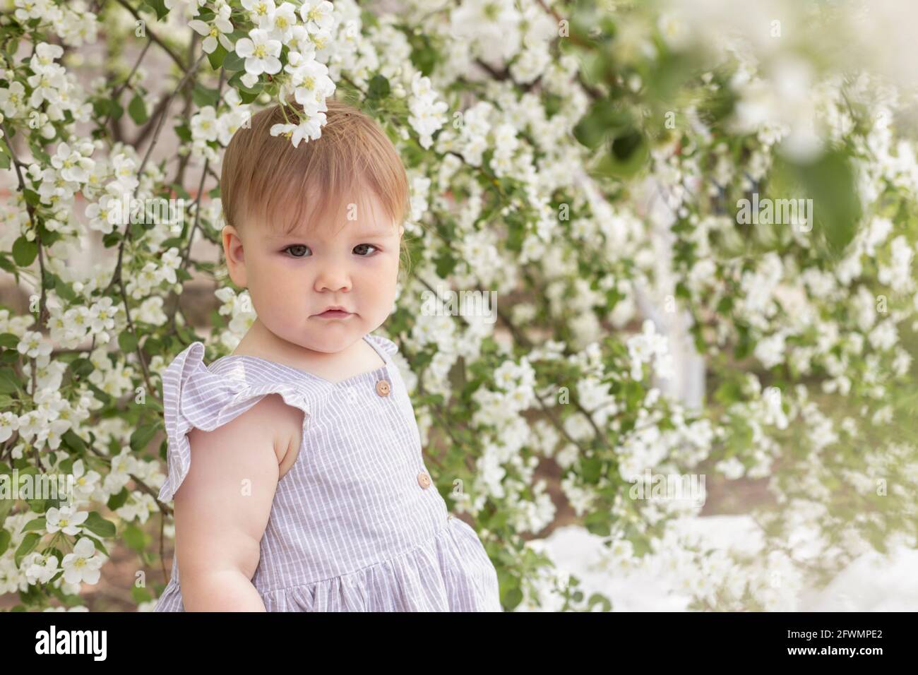 Bambino in strip Sundress tra fiori bianchi che fioriscono nel giardino Foto Stock