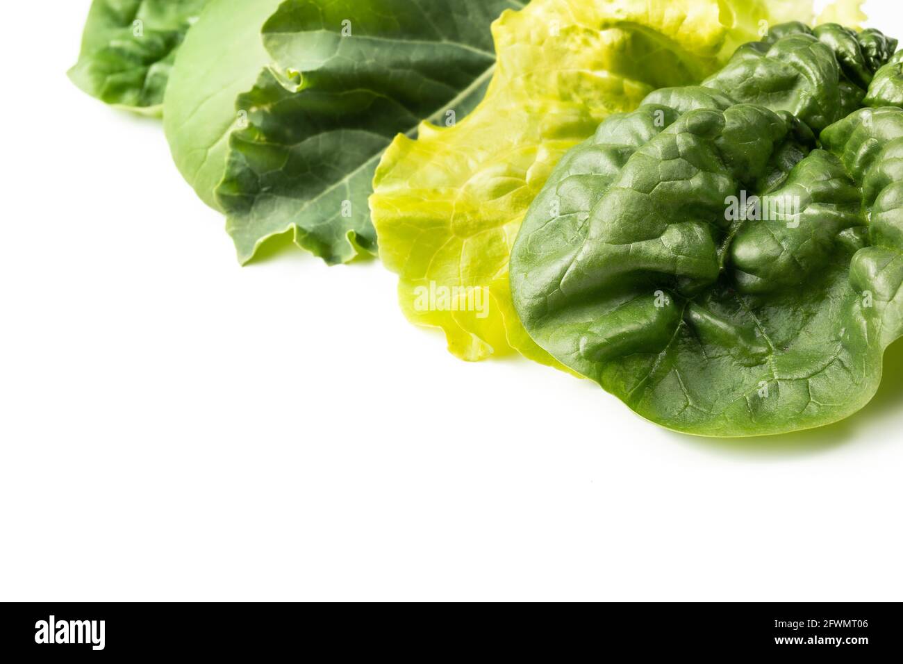 Disposizione delle foglie di insalata. Una varietà di verdure biologiche appena raccolte provenienti dal giardino. Da destra a sinistra: Spinaci, lattuga, ricci Kale, Pak Choy Foto Stock