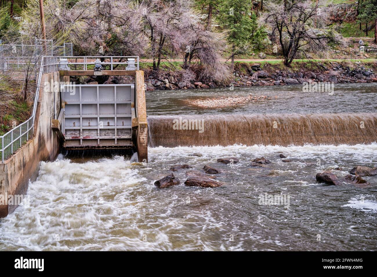 Diga di deviazione dell'acqua sul fiume cache la Poudre nel canyon sopra Fort Collins, Colorado, con un flusso di primavera Foto Stock