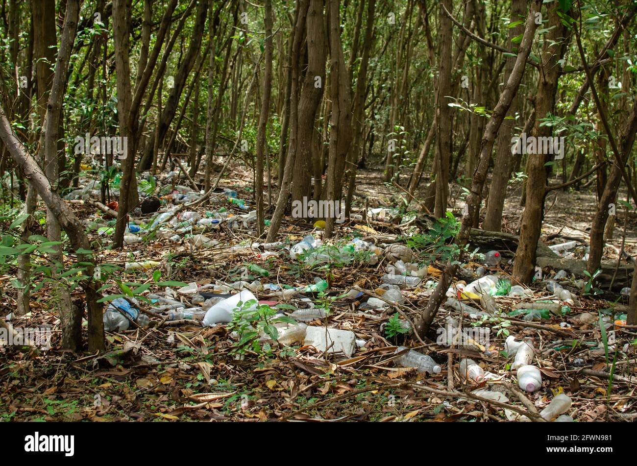 Massiccio inquinamento plastico nella palude di mangrovie di Panama City Foto Stock