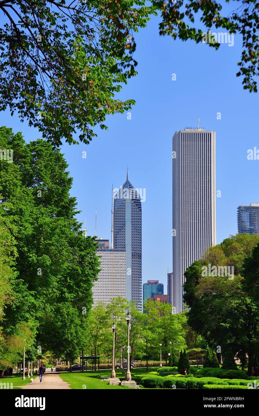 Chicago, Illinois, Stati Uniti. Una parte dello skyline della città al confine nord del Millennium Park visto attraverso gli alberi di Grant Park. Foto Stock