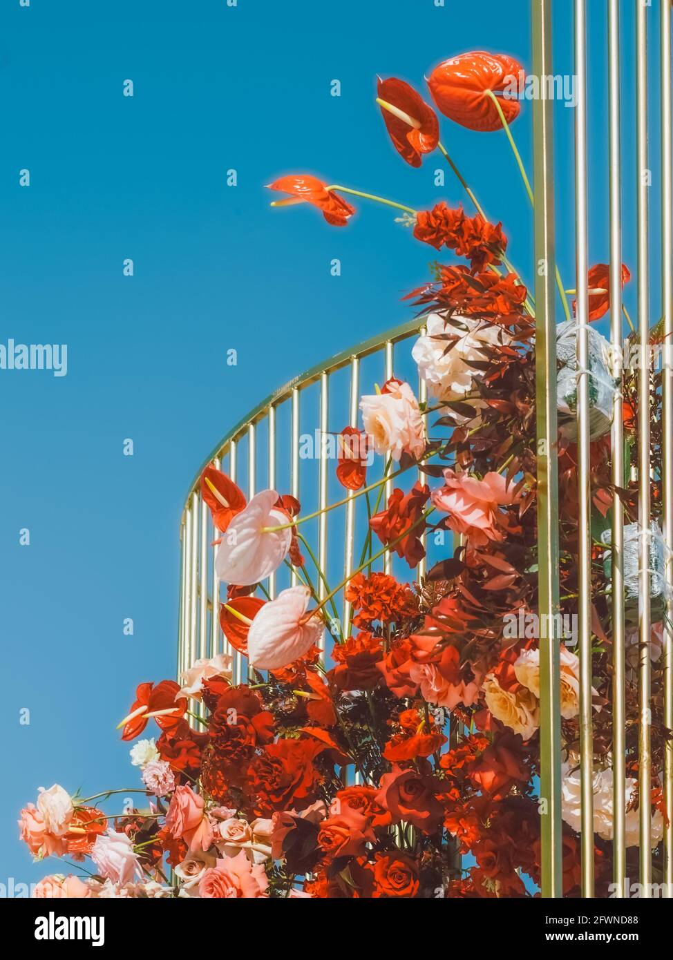 lussuoso arco di nozze sulle rive del fiume decorato con fiori freschi, bella giornata estiva soleggiato, sfondo di nozze, spazio di copia per il testo Foto Stock