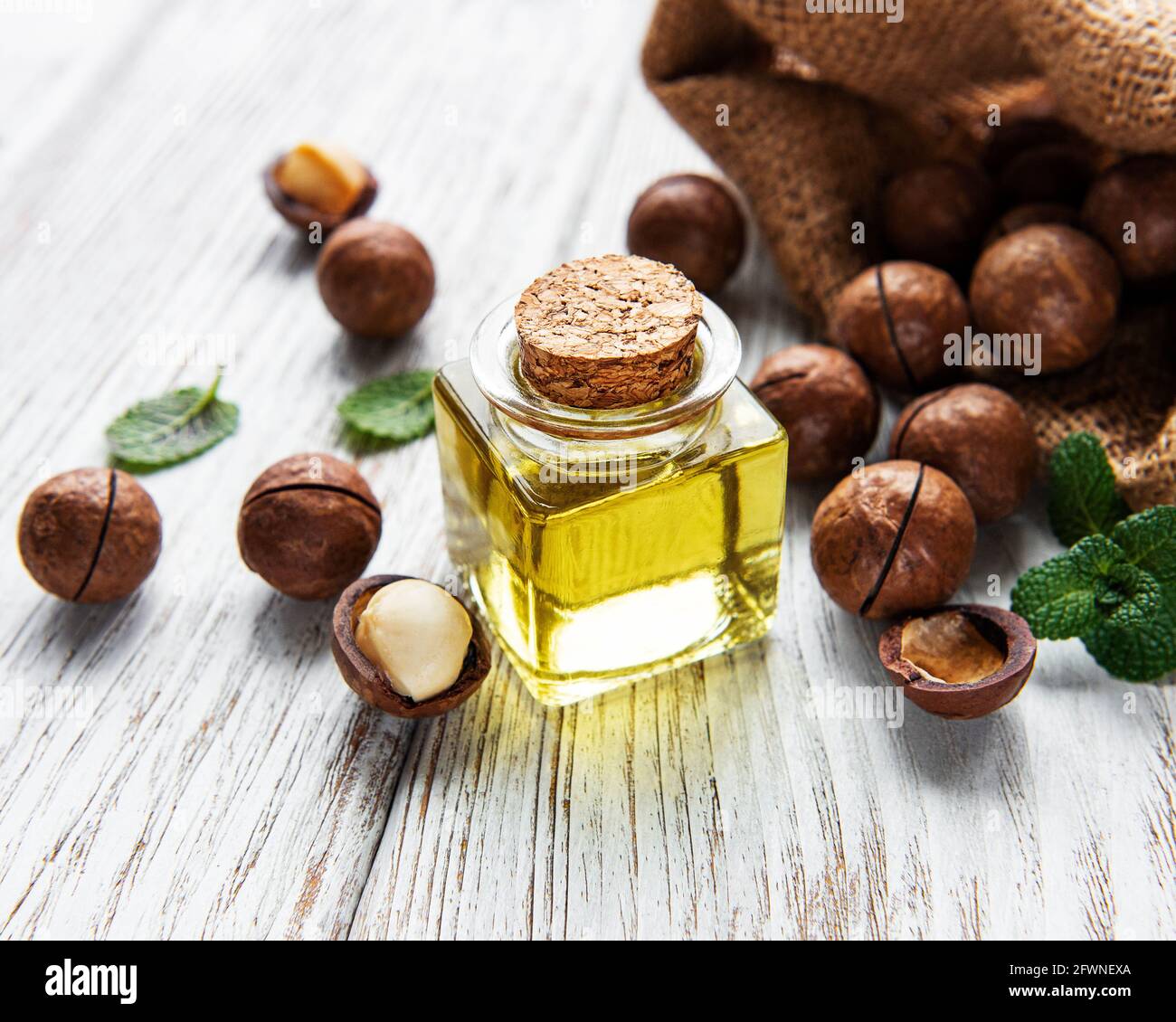 Olio di macadamia naturale e noci di Macadamia su tavola di legno Foto Stock