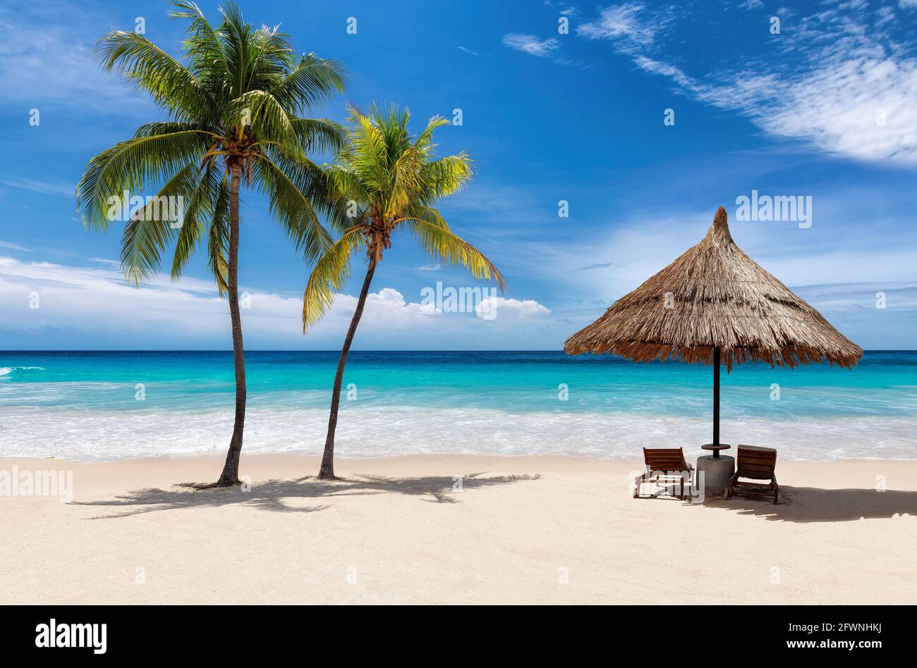 Spiaggia soleggiata palme da cocco, ombrello, mare tropicale nell'isola dei Caraibi. Foto Stock