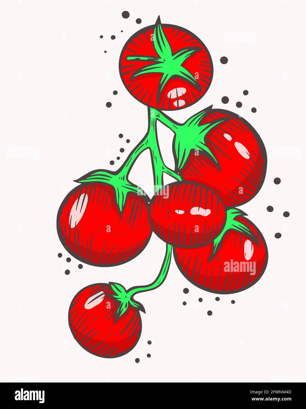 Pomodori ciliegini su un ramo. Vettore. Piccoli pomodori rossi. Coltivare il pomodoro. Crescere e raccogliere cibo sano. Disegno a mano. Illustrazione Vettoriale