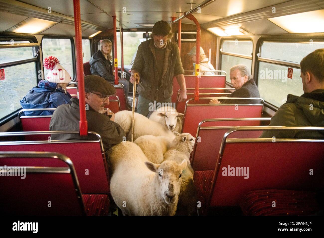 TIMOTHY SPALL nell'ULTIMO AUTOBUS (2021), diretto da GILLIES MACKINNON. Credito: HEAD GEAR FILM / Album Foto Stock