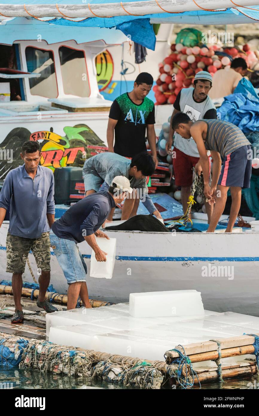 I pescatori caricano blocchi di ghiaccio per l'imballaggio su una barca da pesca nel porto trafficato in questa città turistica molto sud; Tanjung Bira, Sulawesi del sud, Indonesia Foto Stock