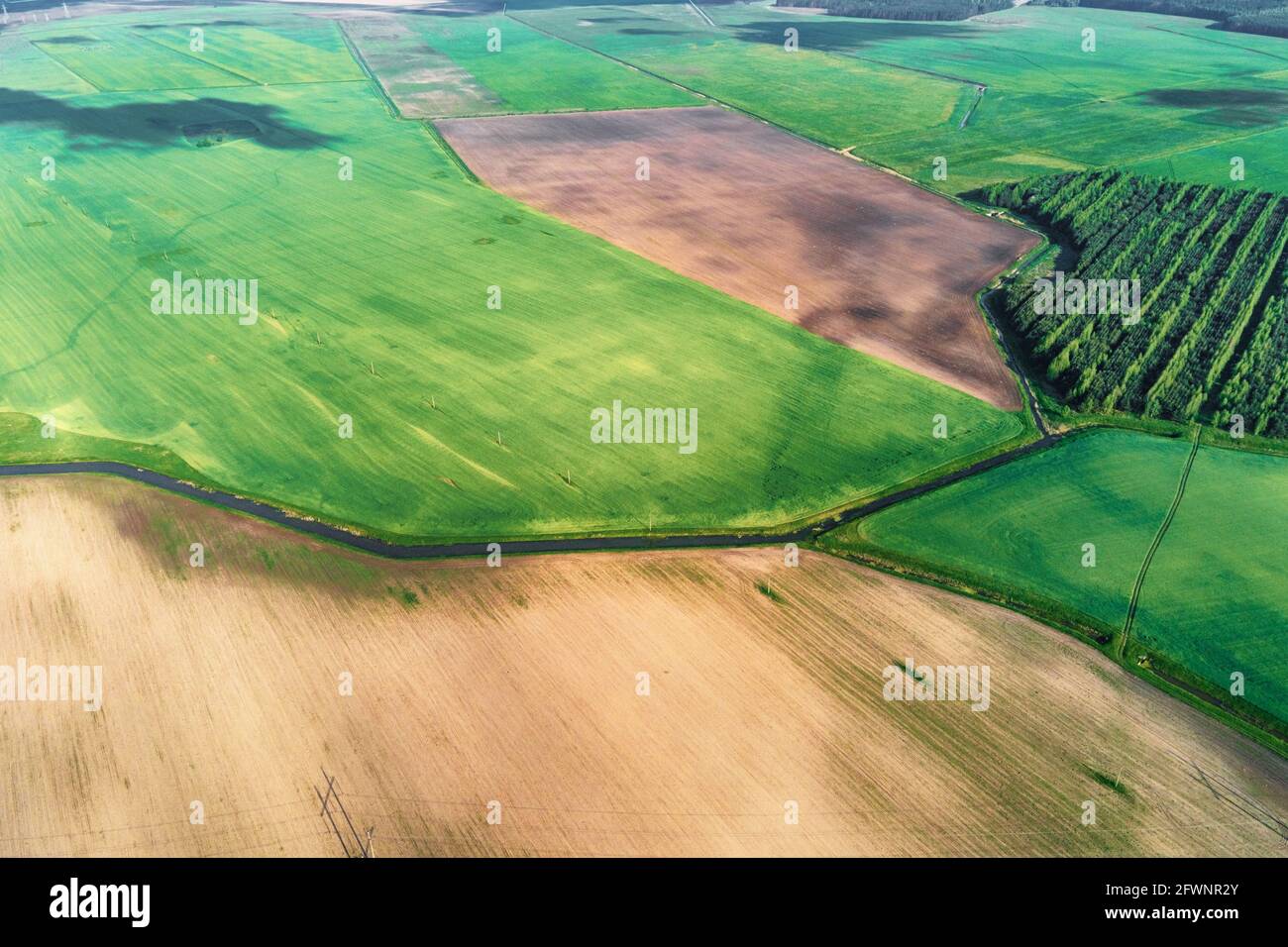 Vista aerea dei campi agricoli e verdi in campagna. Paesaggio naturale in estate Foto Stock
