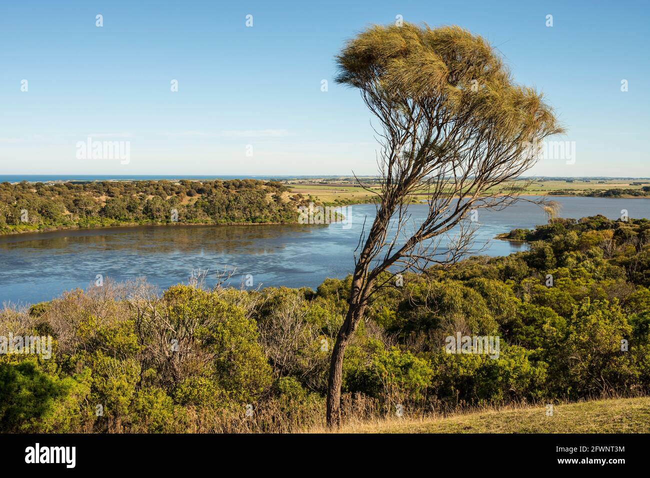 Tower Hill Reserve, Victoria, Australia Foto Stock