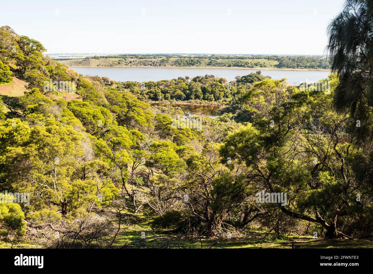 Tower Hill Reserve, Victoria, Australia Foto Stock