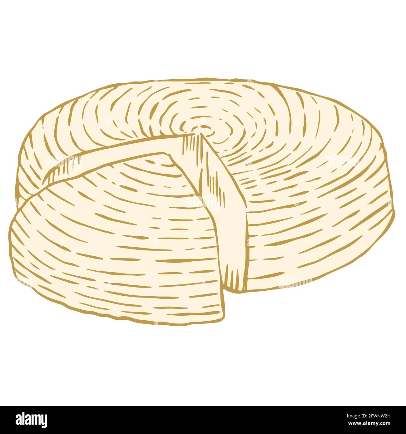 Testa di Adyghe. Vettore. Formaggio morbido intero. Un pezzo tagliato da un'intera testa di formaggio. Disegno a mano. Prodotti lattiero-caseari. Illustrazione Vettoriale