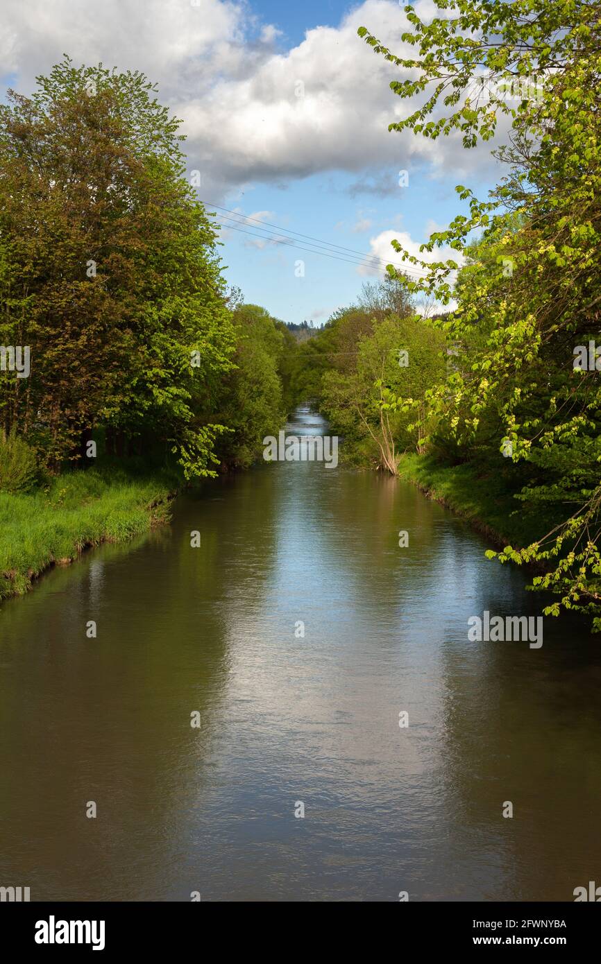 Un piccolo fiume alberato Beskydy con un bel cielo blu e alcune nuvole, è estate. Foto Stock