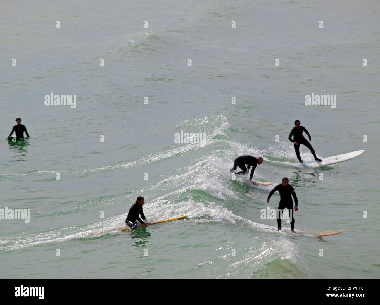 Surfisti in mare a Brighton Foto Stock