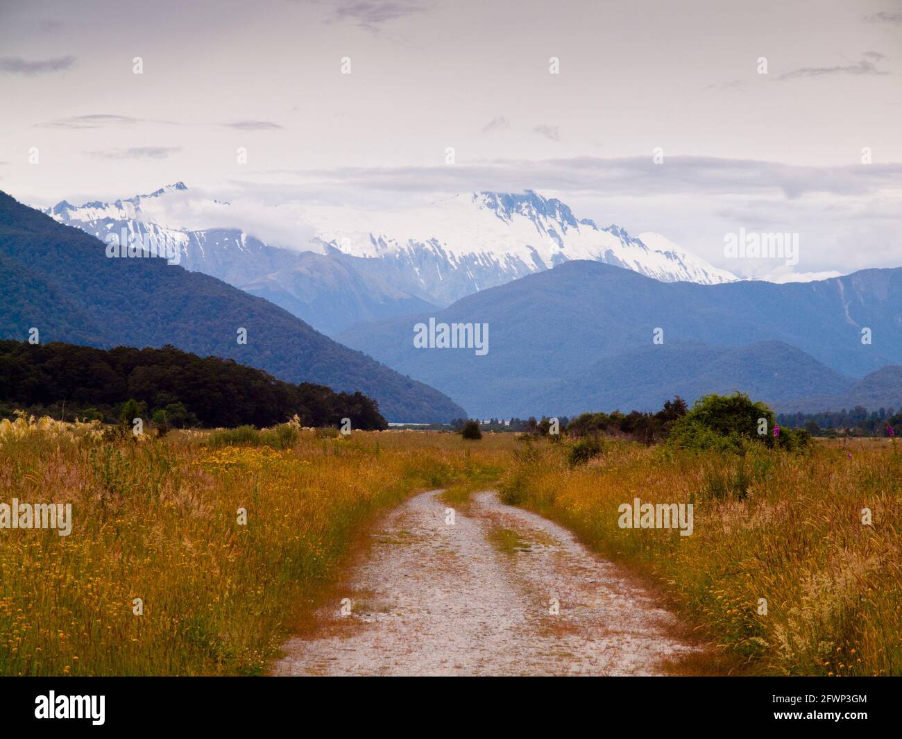 Guardando verso Mt Hooker e la Valle di Landsborough, Pleasant Flat, South Island, Nuova Zelanda Foto Stock