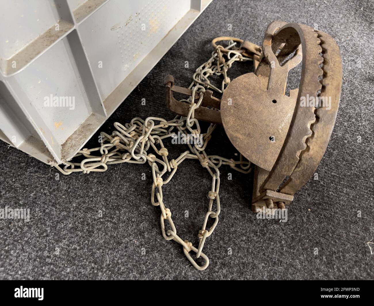 Vecchia trappola di orso arrugginito a terra Foto Stock