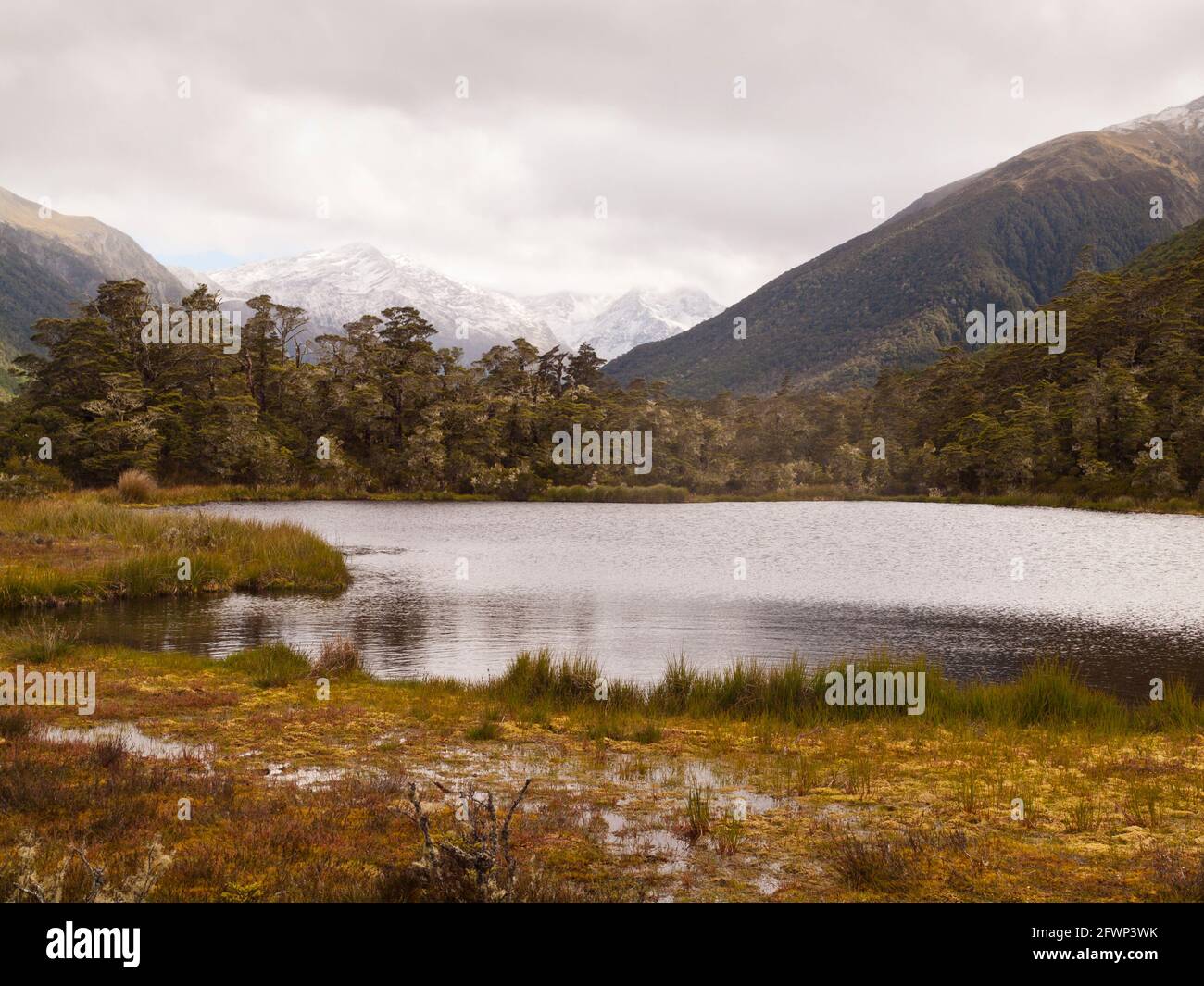 Alpine tarn e le montagne Spenser all'inizio della St James Walkway, Lewis Pass, Canterbury, Nuova Zelanda. Foto Stock