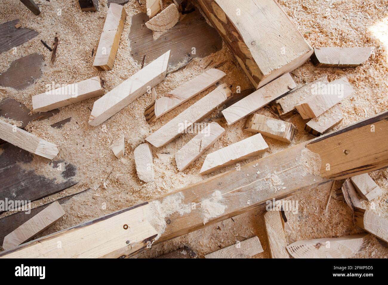 rottami di legno da sega a catena Foto Stock