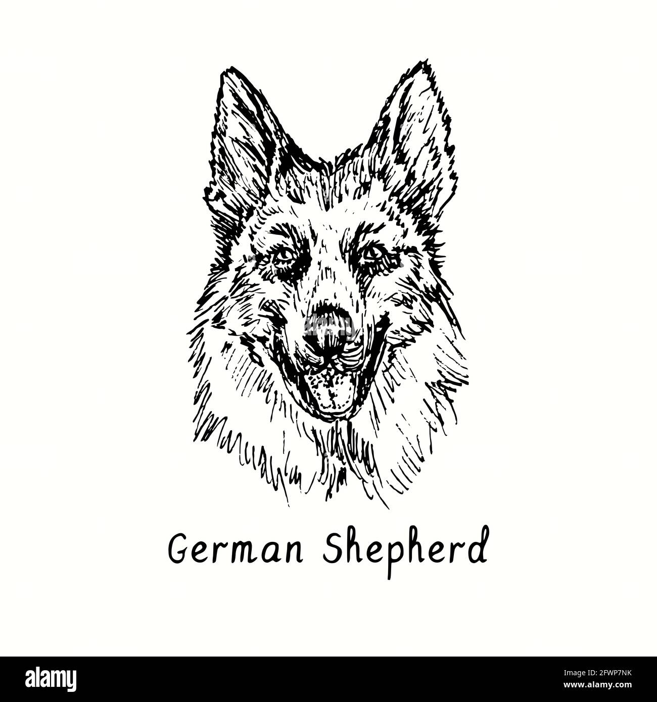 German Shepherd (Deutshe Schäferhund) muso vista frontale. Inchiostro nero e bianco doodle disegno in legno stile. Foto Stock