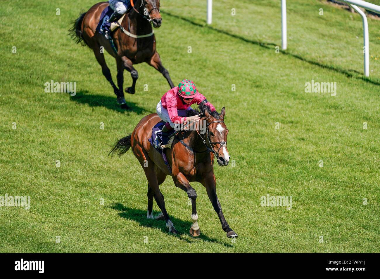 Saffie Osborne riding Good Earth Winning the Free Tips Daily on attheraces.com handicap all'ippodromo di Brighton. Data immagine: Lunedì 24 maggio 2021. Foto Stock