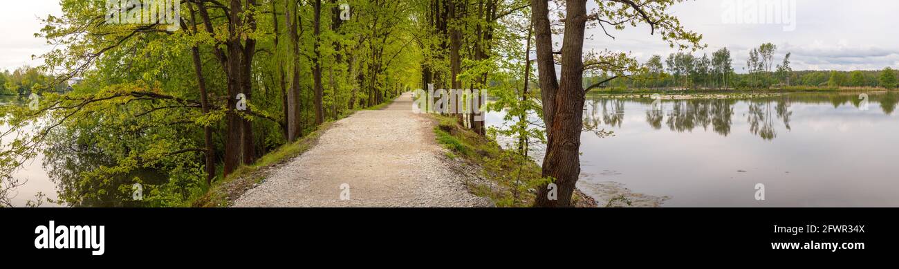 Percorso con vicolo di alberi sulla riva del laghetto, Vrmenske rybniky Riserva Naturale, Ceske Budejovice, repubblica Ceca Foto Stock