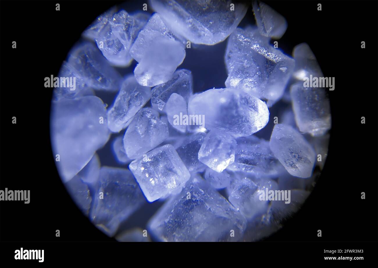 cristalli di zucchero visti al microscopio ottico Foto Stock