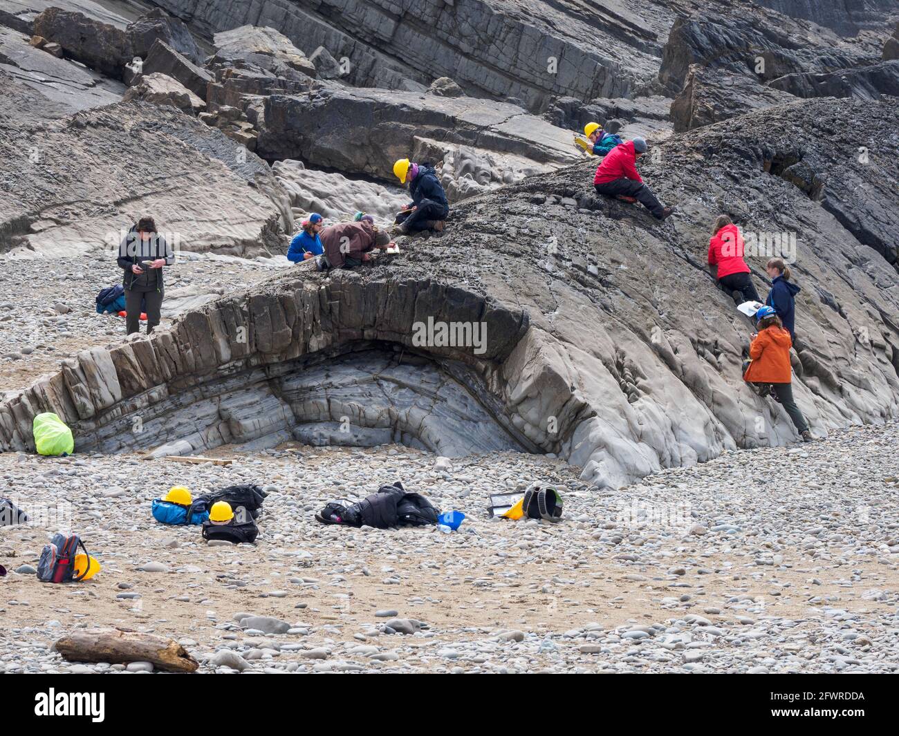 Studenti in un viaggio sul campo per studiare le rocce, Bude, Cornovaglia, Regno Unito Foto Stock