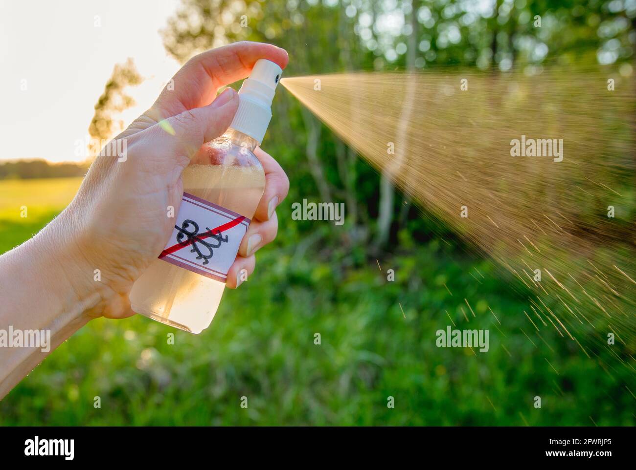 Vista ravvicinata della mano della donna che tiene in mano e che usa repellente per zanzare a base di olio essenziale fatto in casa all'aperto nella foresta. Foto Stock