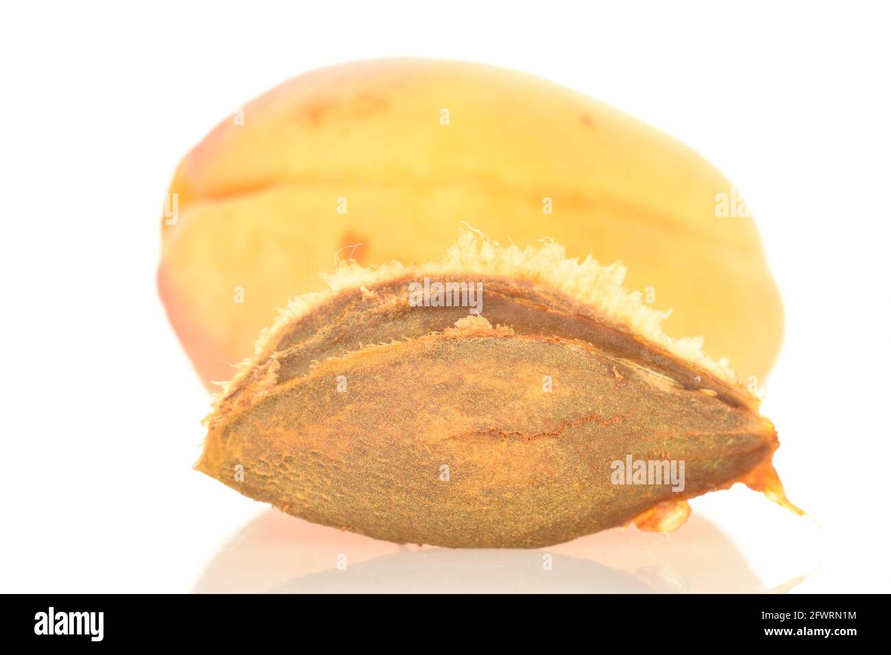 Un albicocca di ananas matura e un nocciolo di albicocca, macro, isolato su bianco. Foto Stock