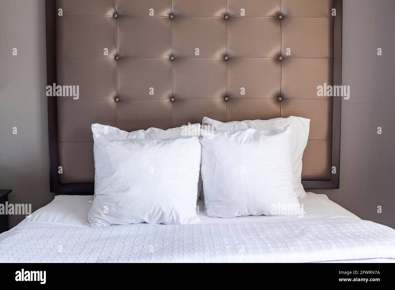 Un letto queen size perfettamente pulito e pronto con lenzuola bianche e quattro federe testiera imbottita è sulla parete. Un colore pastello luminoso ordinato c Foto Stock