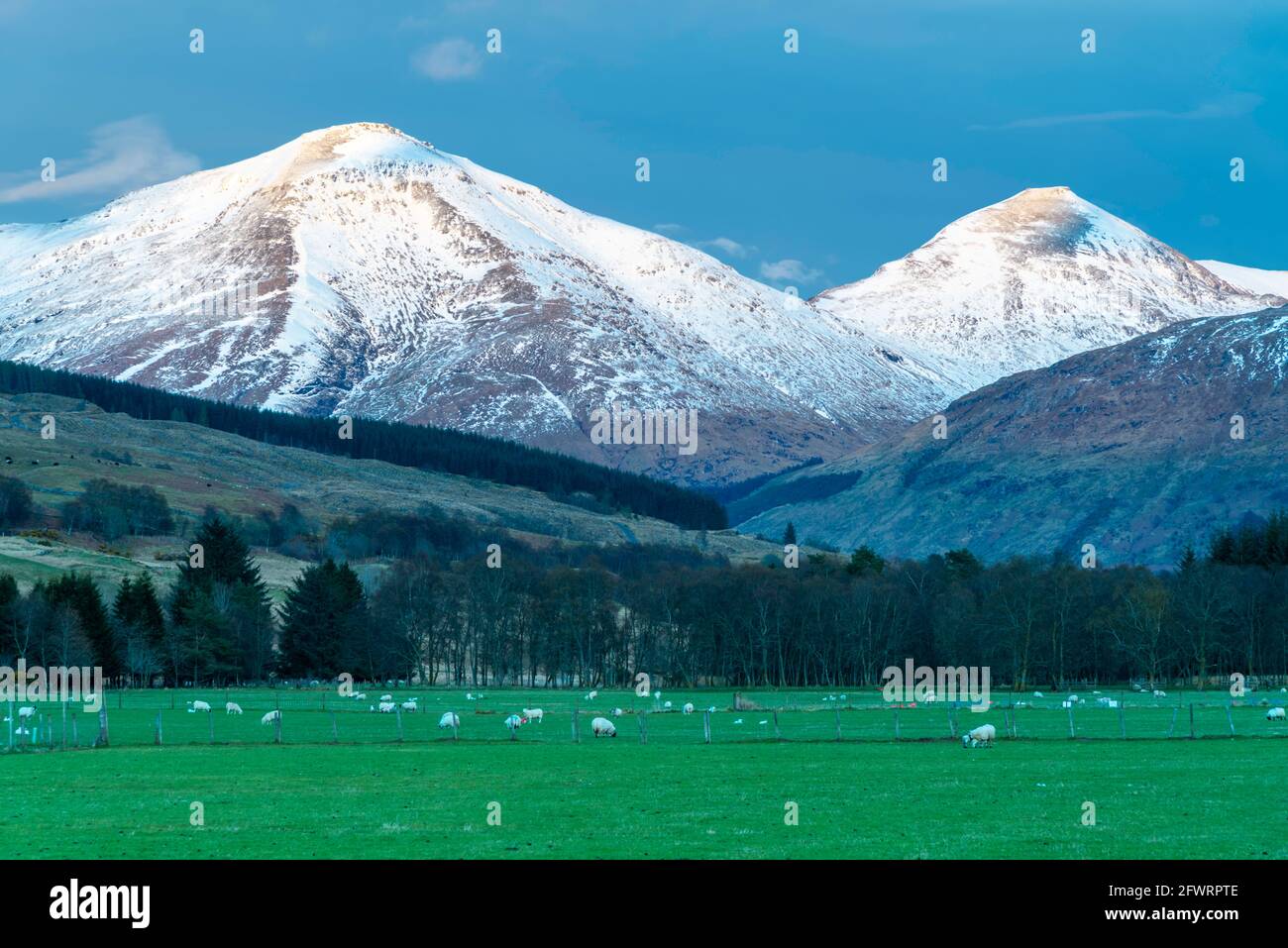 Ben più a sinistra e Stop Binnein a destra sono montagne Munro vicino al villaggio di Crianlarich in Scozia. Foto Stock