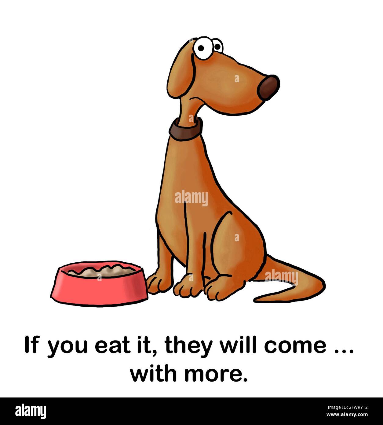 Il cane otterrà più cibo del cane. Foto Stock