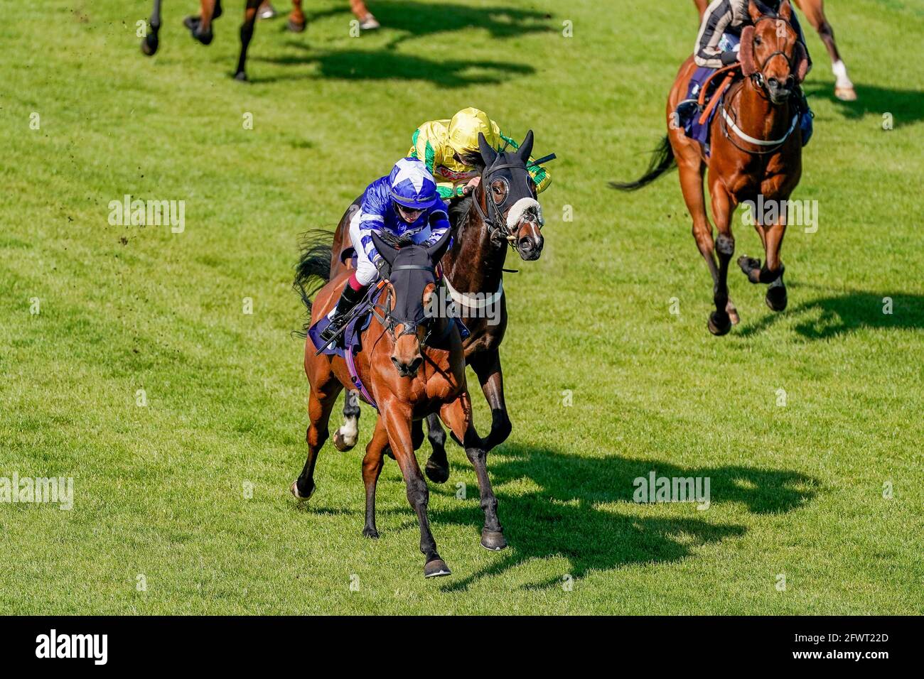 Saffie Osborne Riding Big Little Lie (blu) vince lo Sky Sports Racing Sky 415 handicap all'ippodromo di Brighton. Data immagine: Lunedì 24 maggio 2021. Foto Stock