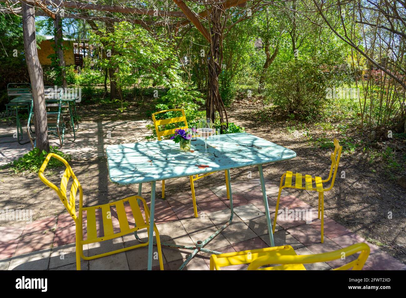 Tavola all'aperto d'epoca in giardino con un bicchiere di vino e fiori. Foto Stock