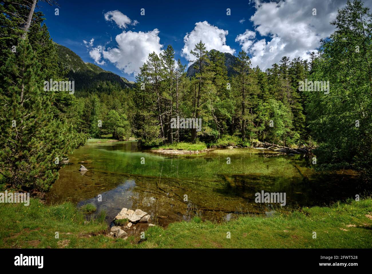 Pianura di Aigüestortes, in estate (Aigüestortes e Parco Nazionale Estany de Sant Maurici, Pirenei, Catalogna, Spagna) Foto Stock