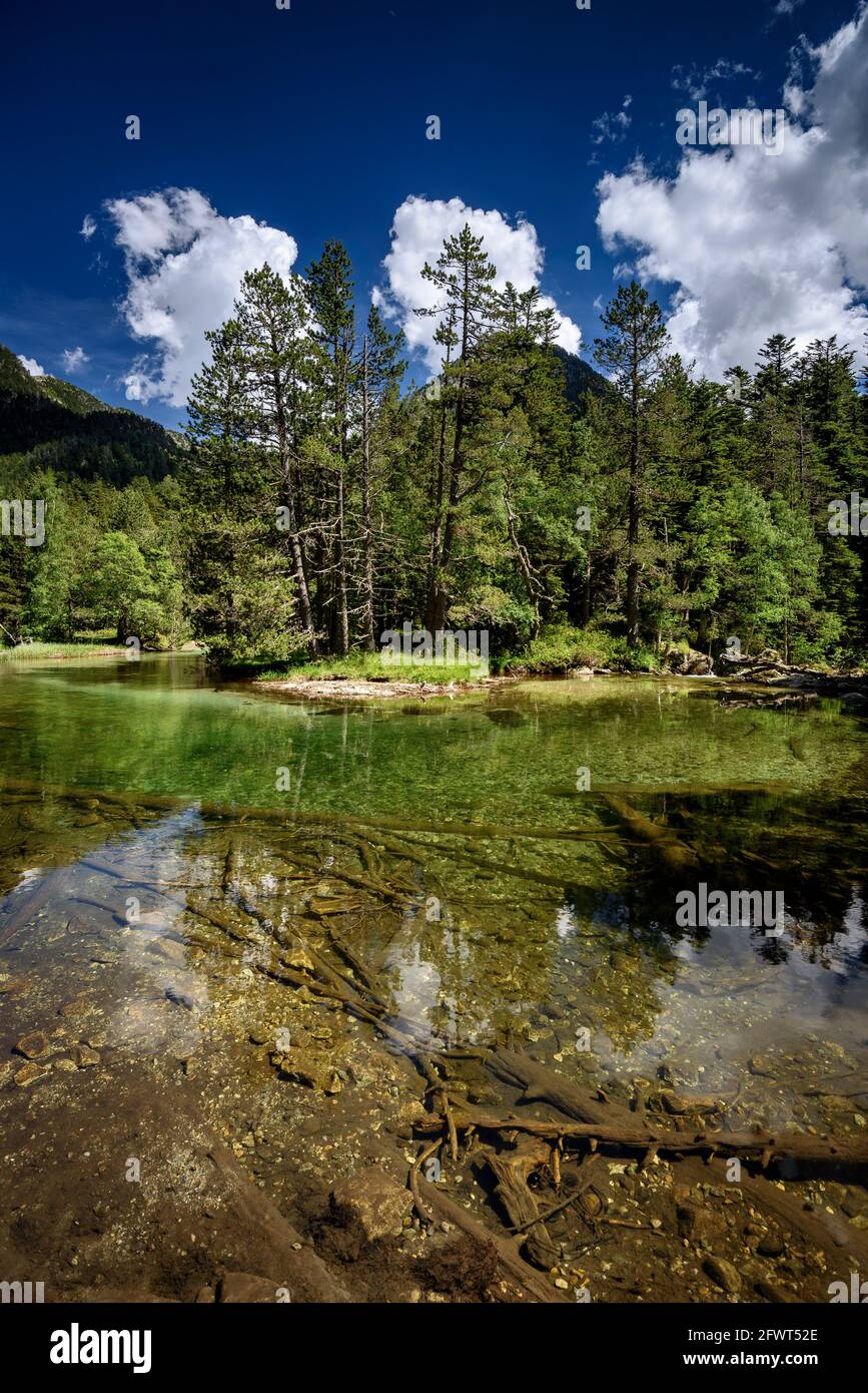 Pianura di Aigüestortes, in estate (Aigüestortes e Parco Nazionale Estany de Sant Maurici, Pirenei, Catalogna, Spagna) Foto Stock