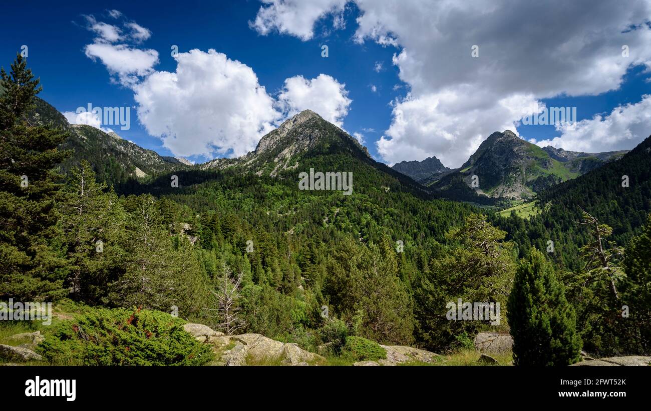 Pianura di Aigüestortes, in estate (Aigüestortes e Parco Nazionale Estany de Sant Maurici, Pirenei, Catalogna, Spagna) Foto Stock