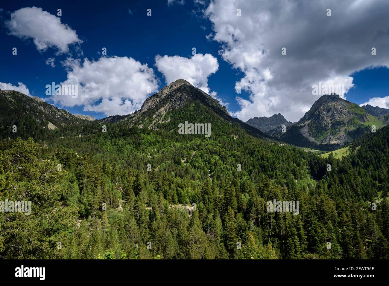 Pianura di Aigüestortes, in estate (Aigüestortes e Parco Nazionale Estany de Sant Maurici, Pirenei, Catalogna, Spagna) Foto Stock