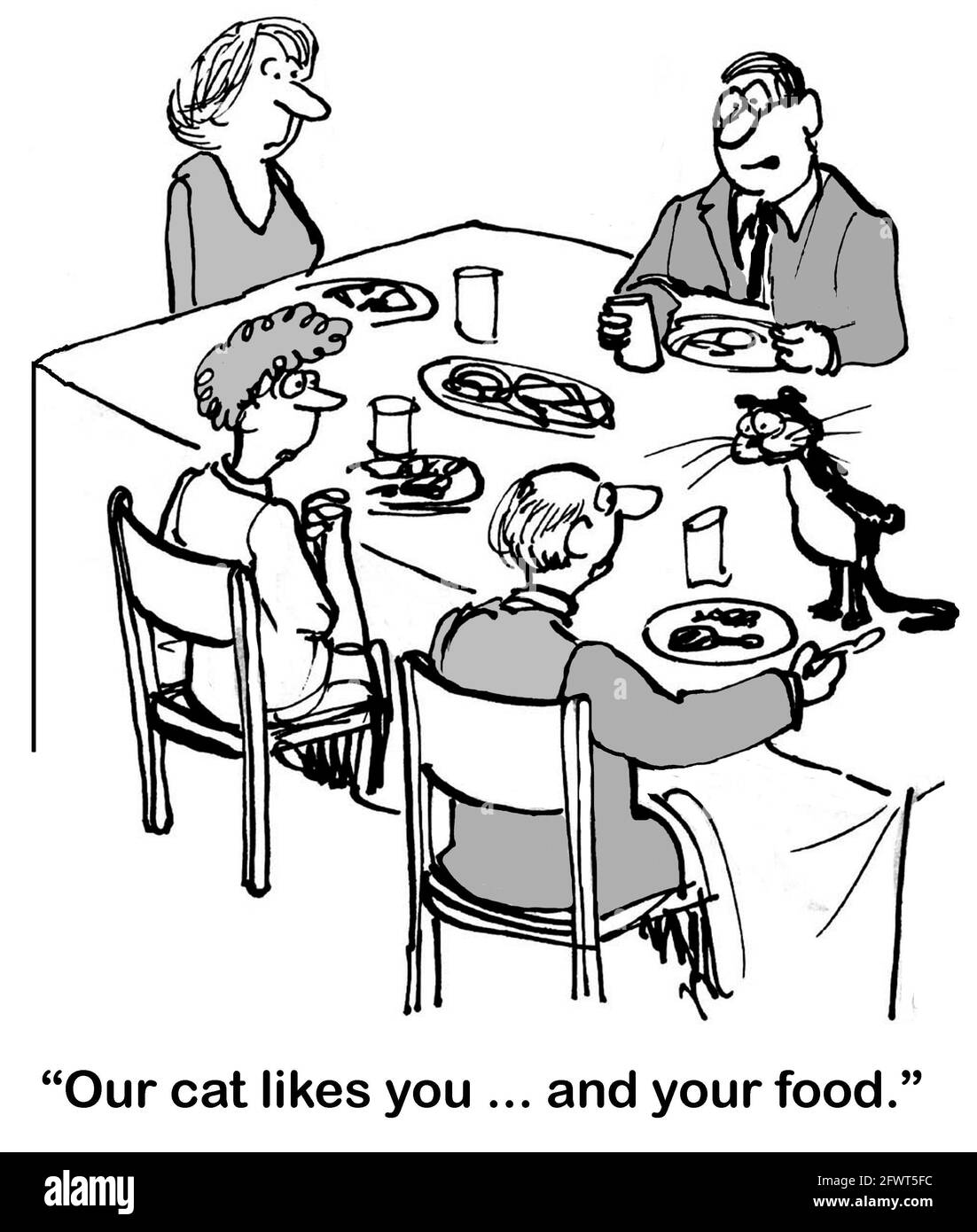 Cat è interessato al cibo degli ospiti. Foto Stock