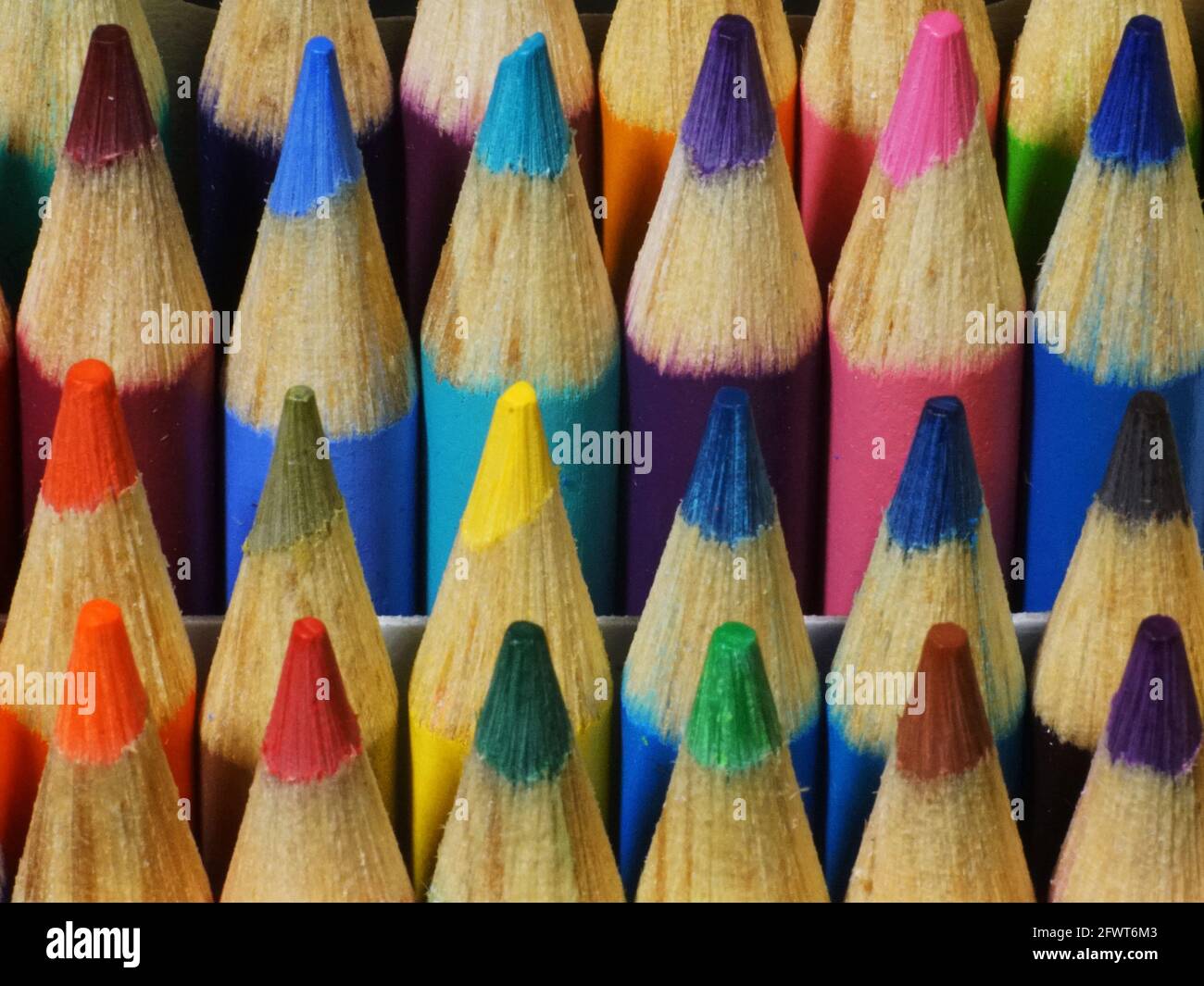 Primo piano stretto di punti a matita colorati dalla parte anteriore. Foto Stock