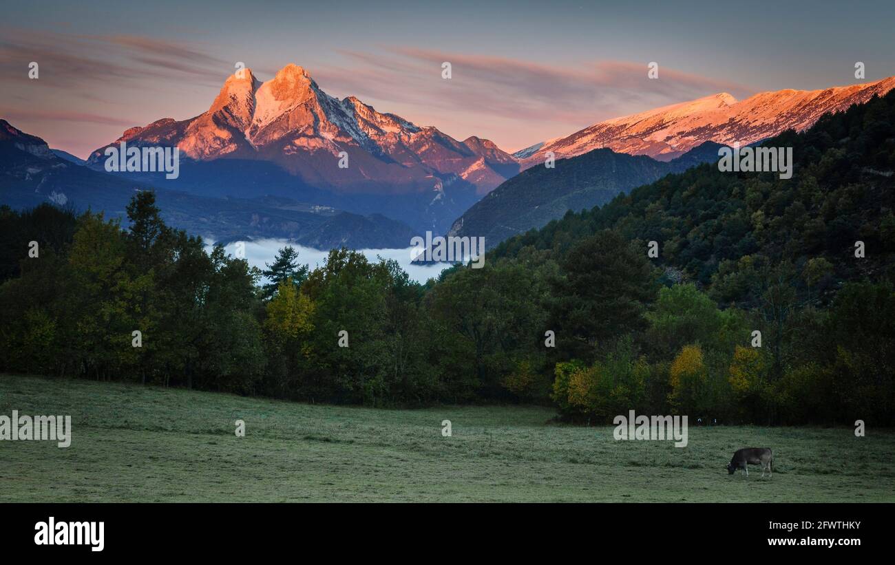 Alba autunnale sulla montagna Pedraforca con la prima nevicata, vista da vicino a Sant Julià de Cerdanyola (Berguedà, Catalogna, Spagna, Pirenei) Foto Stock