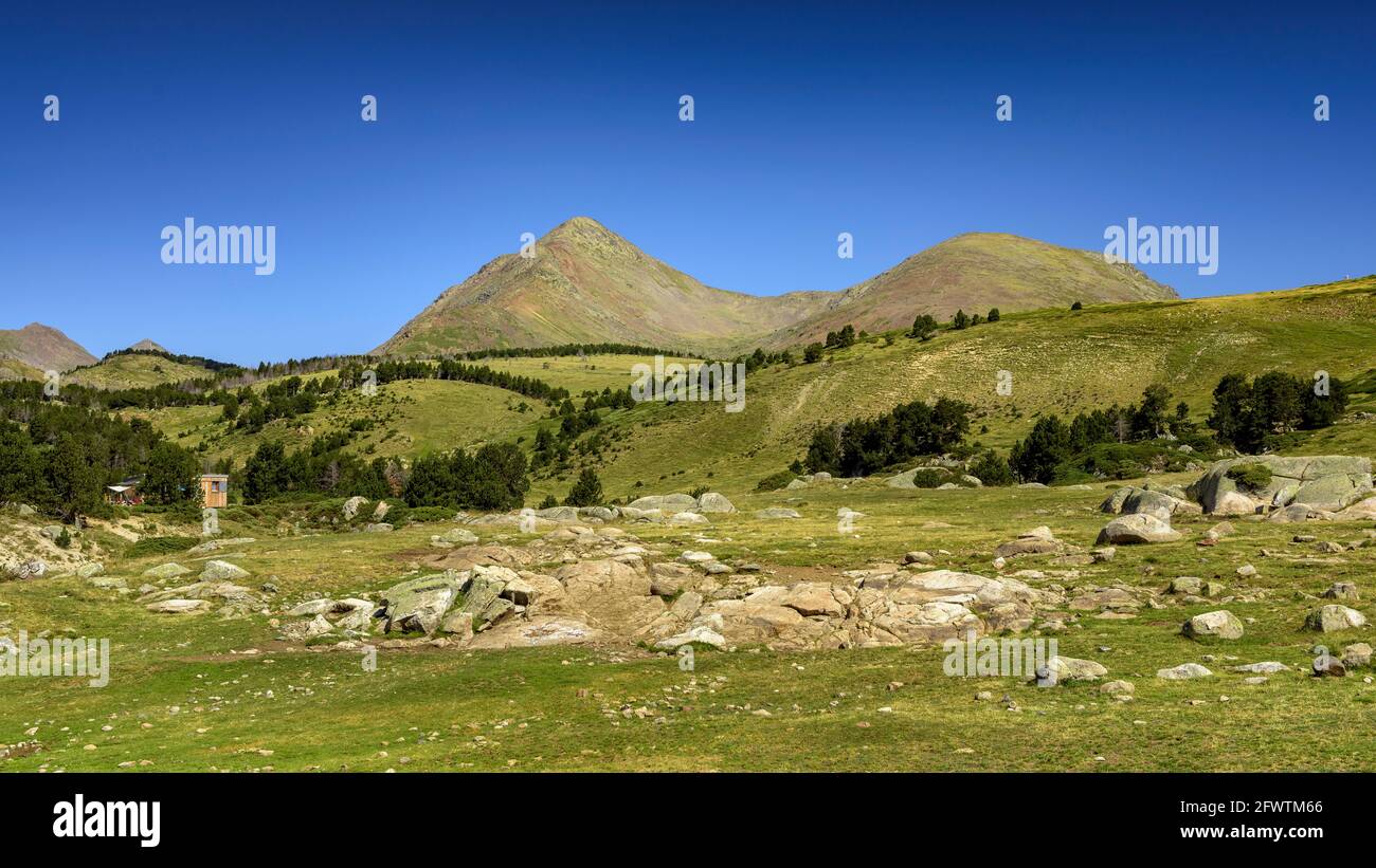PIC Peric picchi gemelli visti da vicino alla baita Bmeta (Pyrenees-Orientales, Francia) ESP: Vistas del Pico Peric desde cerca de la Cabaña de la Balmeta Foto Stock