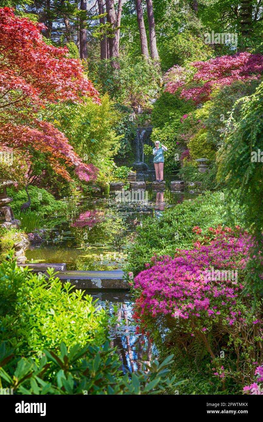 Compton Acres Gardens, Canford Cliffs, Poole, Dorset UK nel mese di maggio - effetto HDR Foto Stock