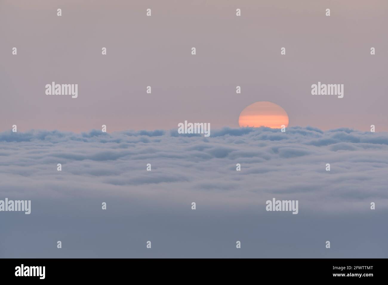 Alba invernale con foschia, nebbia e un mare di nuvole, vista dal Monte Caro (Tarragona, Catalogna, Spagna) ESP: Amanecer de invierno con calima en el Caro Foto Stock