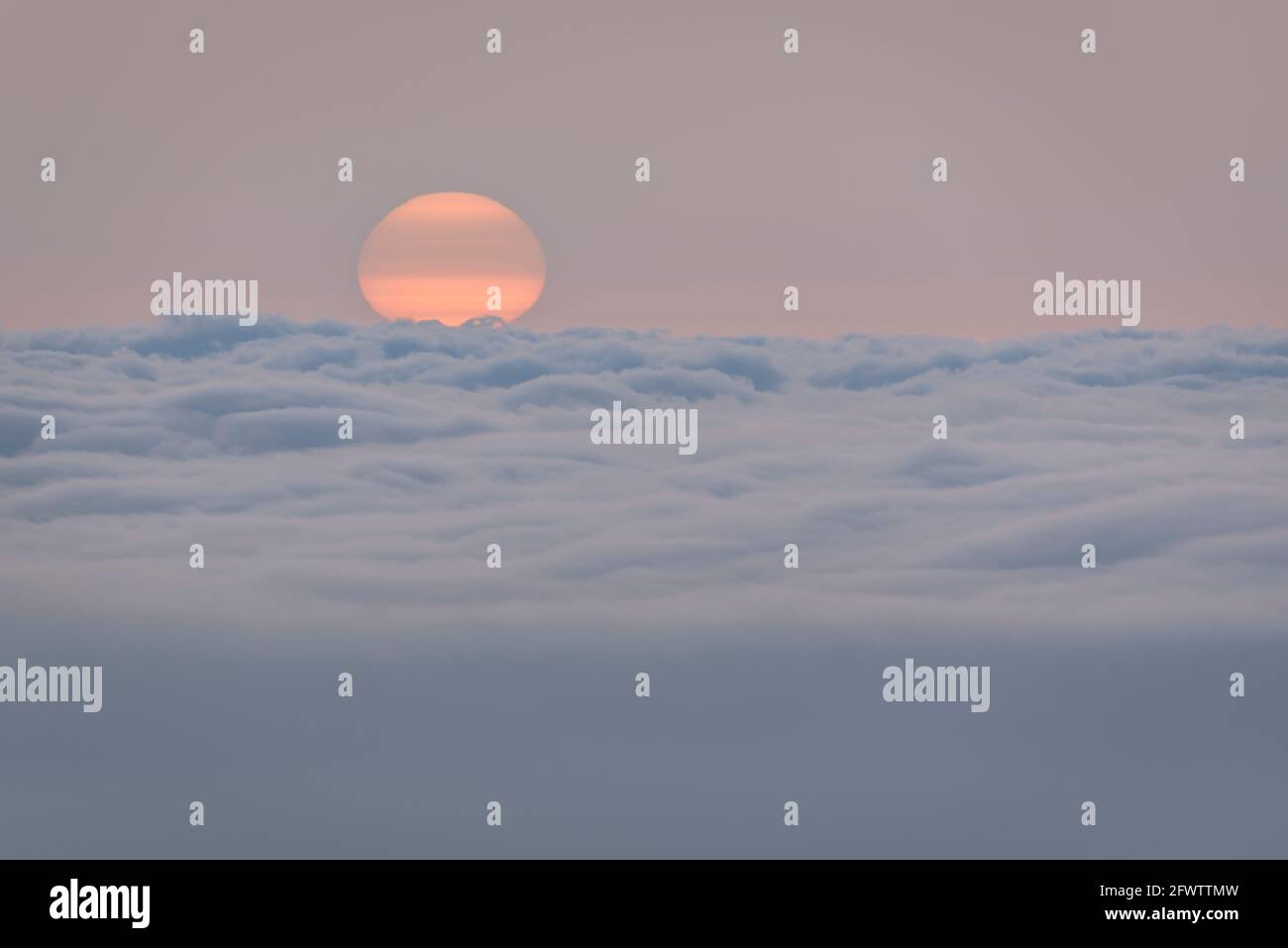 Alba invernale con foschia, nebbia e un mare di nuvole, vista dal Monte Caro (Tarragona, Catalogna, Spagna) ESP: Amanecer de invierno con calima en el Caro Foto Stock