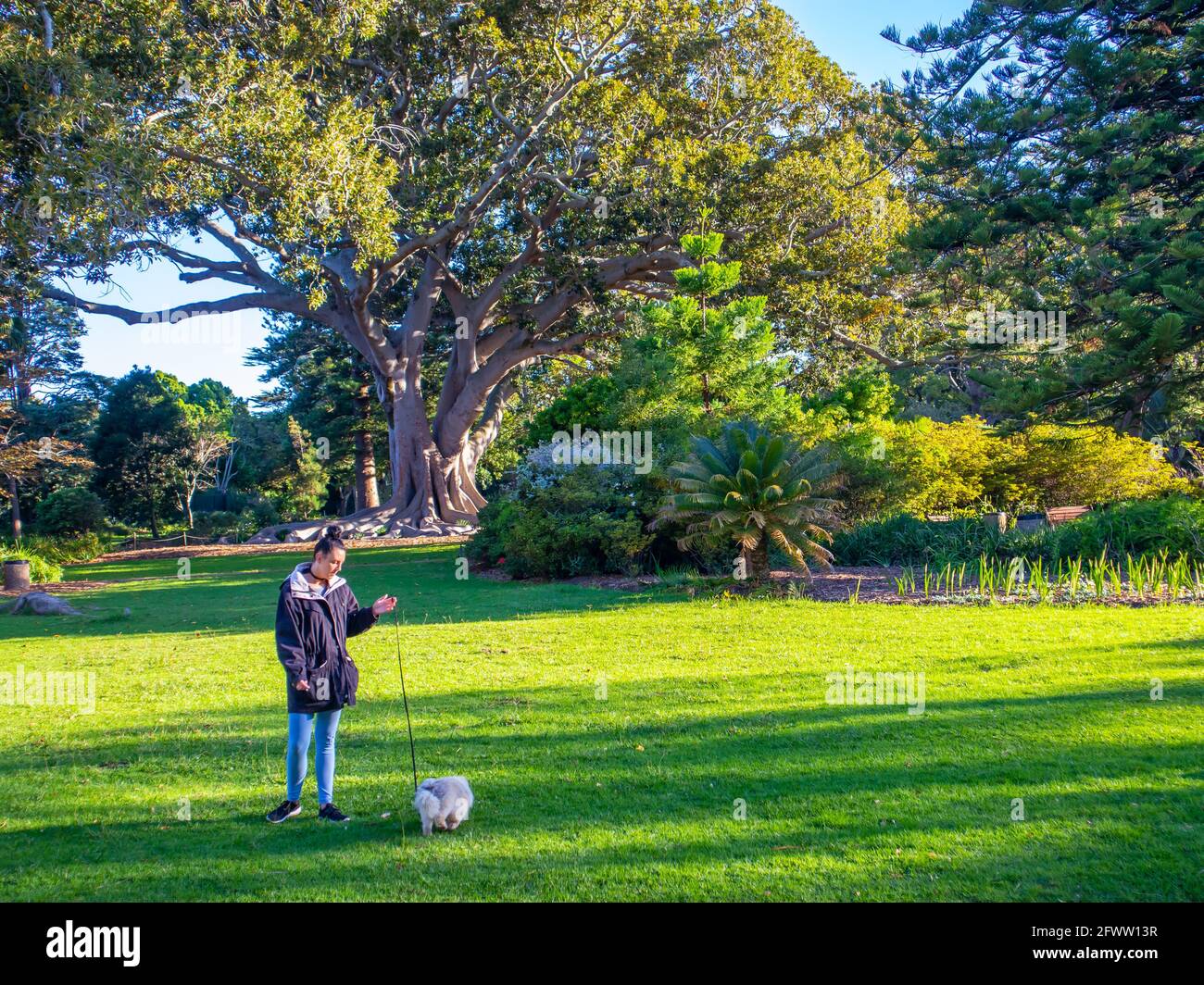 Sud Africa - 21-05-2021 immergersi nella tranquilla atmosfera dei Giardini di Arderne. Piante rigogliose e luoghi tranquilli per rilassarsi. Foto Stock