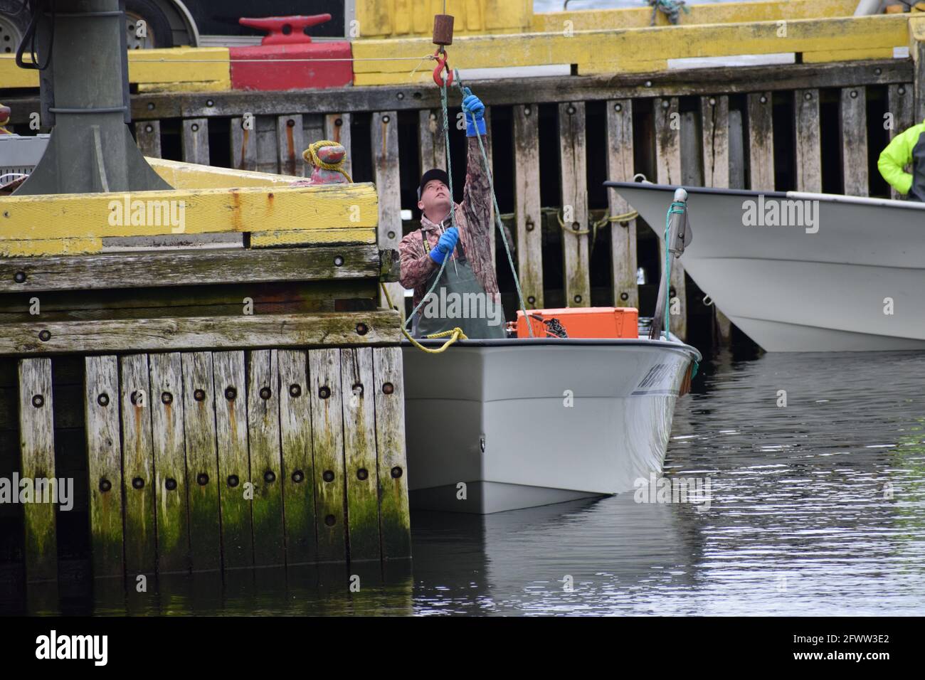 Pescatore di aragosta a Bay of Islands, Terranova Foto Stock