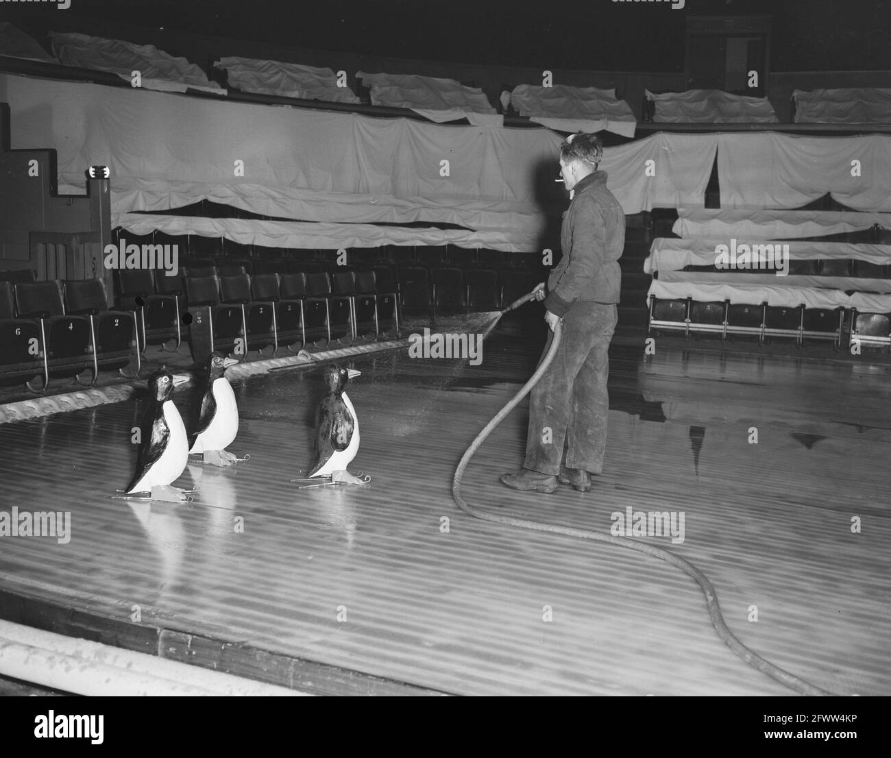 Penguin ice skating Foto e Immagini Stock in Bianco e Nero - Alamy