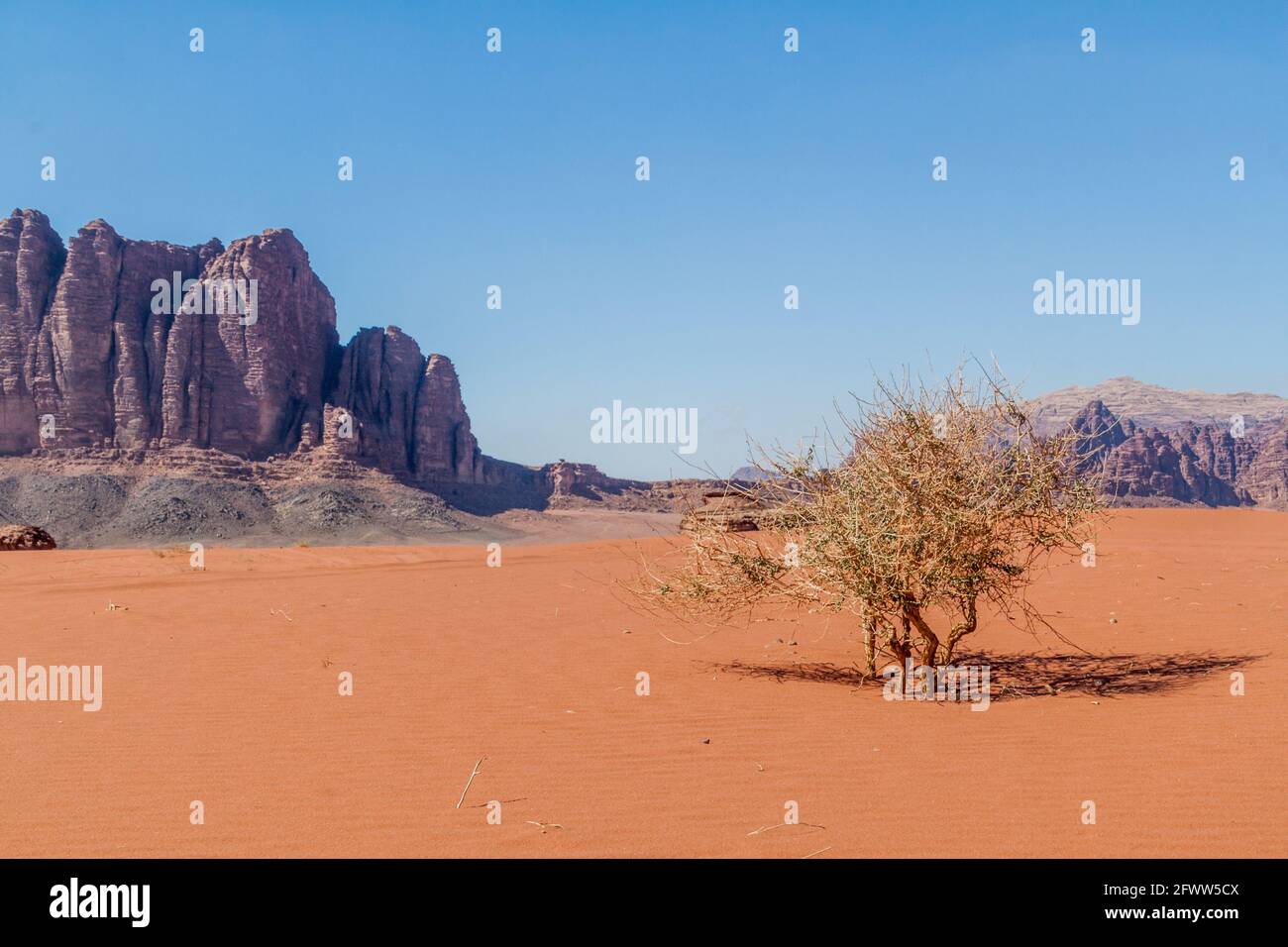 Paesaggio roccioso del deserto di Wadi Rum, Giordania Foto Stock