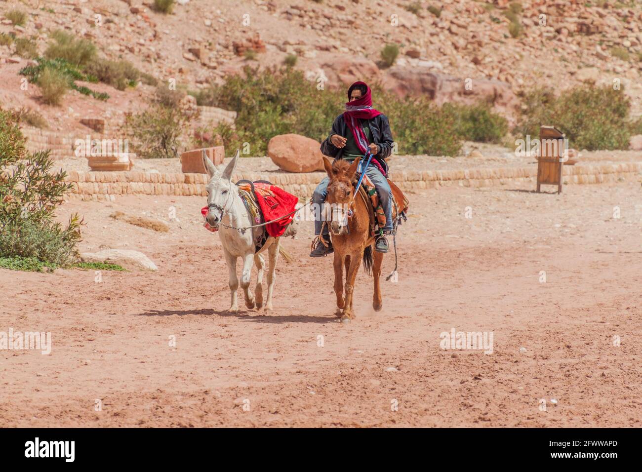PETRA, GIORDANIA - 23 MARZO 2017: Ciclista locale dell'asino nell'antica città di Petra, Giordania Foto Stock