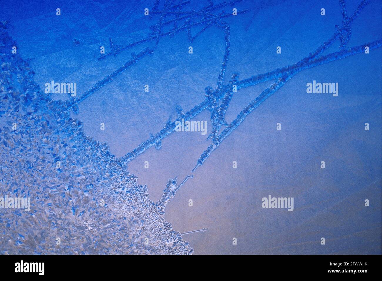 Nella loro crescita auto-organizzata; i cristalli di ghiaccio creano un'istantanea effimera delle leggi della fisica in azione. Lo scongelamento e il congelamento, come per i fiocchi di neve, non possono mai avere lo stesso motivo due volte. Foto Stock